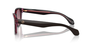 Giorgio Armani Ar 8207 Men Brown Pantos Sunglasses