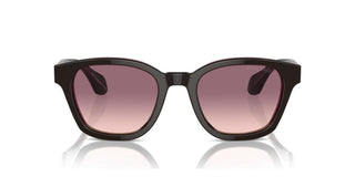 Giorgio Armani Ar 8207 Men Brown Pantos Sunglasses