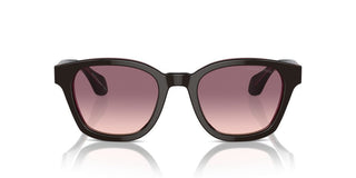 Giorgio Armani Ar 8207 Men Brown Pantos Sunglasses