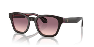 Giorgio Armani Ar 8207 Men Brown Pantos Sunglasses