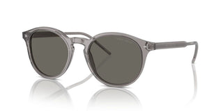 Giorgio Armani Ar 8211 Men Grey Pantos Sunglasses