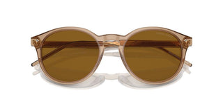 Giorgio Armani Ar 8211 Men Brown Pantos Sunglasses