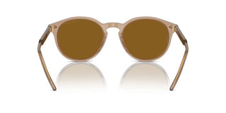 Giorgio Armani Ar 8211 Men Brown Pantos Sunglasses