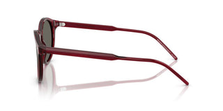 Giorgio Armani AR 8211 men Red Pantos Sunglasses