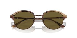 Giorgio Armani Ar 8215 Men Brown Pantos Sunglasses