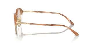Giorgio Armani Ar 8215 Men Pink Pantos Sunglasses