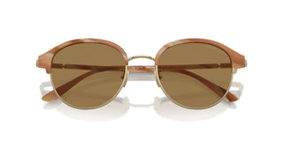 Giorgio Armani Ar 8215 Men Pink Pantos Sunglasses
