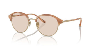 Giorgio Armani Ar 8215 Men Pink Pantos Sunglasses
