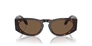 Giorgio Armani AR 8216 men Havana Oval Sunglasses