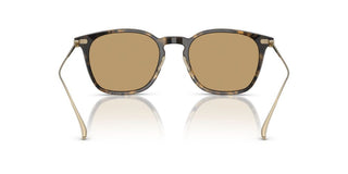 Giorgio Armani AR 8226T men Havana Pantos Sunglasses