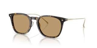 Giorgio Armani AR 8226T men Havana Pantos Sunglasses
