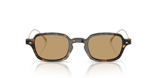 Giorgio Armani AR 8227T men Havana Oval Sunglasses