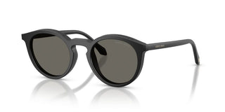 Giorgio Armani Ar 8230u Men Black Pantos Sunglasses