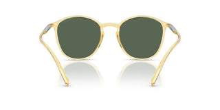 Giorgio Armani AR 8233U men Yellow Pantos Sunglasses