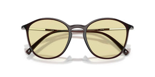 Giorgio Armani AR 8233U men Brown Pantos Sunglasses