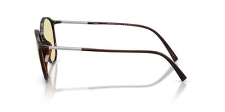 Giorgio Armani AR 8233U men Brown Pantos Sunglasses
