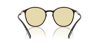 Giorgio Armani AR 8233U men Brown Pantos Sunglasses