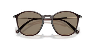 Giorgio Armani AR 8233U men Brown Pantos Sunglasses