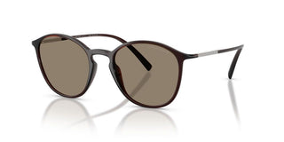 Giorgio Armani AR 8233U men Brown Pantos Sunglasses