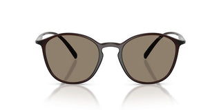 Giorgio Armani AR 8233U men Brown Pantos Sunglasses