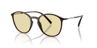 Giorgio Armani AR 8233U men Brown Pantos Sunglasses