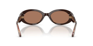 Giorgio Armani AR 8234U women Brown Oval Sunglasses