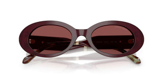 Giorgio Armani AR 8234U women Violet Oval Sunglasses