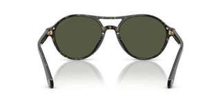 Giorgio Armani AR 8236U men Havana Pilot Sunglasses