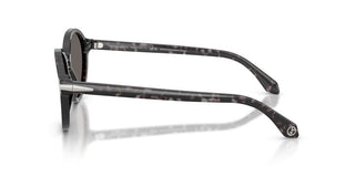 Giorgio Armani Ar 8237 Women Havana Round Sunglasses