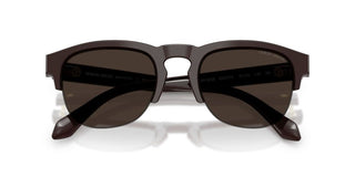 Giorgio Armani AR 8238 men Brown Pantos Sunglasses