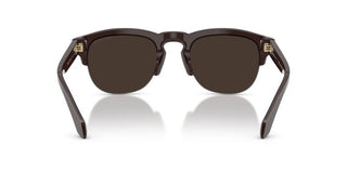 Giorgio Armani AR 8238 men Brown Pantos Sunglasses