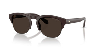 Giorgio Armani AR 8238 men Brown Pantos Sunglasses