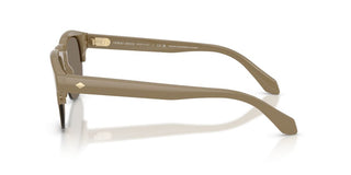 Giorgio Armani AR 8238 men Brown Pantos Sunglasses