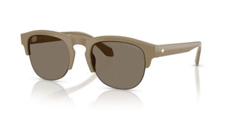 Giorgio Armani AR 8238 men Brown Pantos Sunglasses