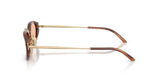 Giorgio Armani Ar 8242 Men Brown Geometric Sunglasses