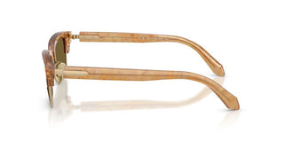 Giorgio Armani Ar 8243 Men Brown Geometric Sunglasses