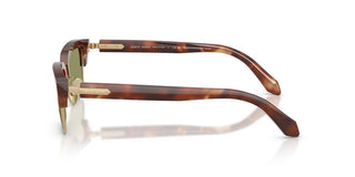 Giorgio Armani Ar 8243 Men Havana Geometric Sunglasses