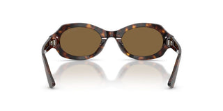 Giorgio Armani Ar 8245hu Women Havana Oval Sunglasses