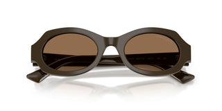 Giorgio Armani Ar 8245hu Women Brown Oval Sunglasses