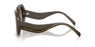 Giorgio Armani Ar 8248 Women Brown Round Sunglasses