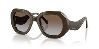 Giorgio Armani Ar 8248 Women Brown Round Sunglasses