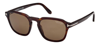 Tom Ford AVERY FT 0931 men Havana Geometric Sunglasses