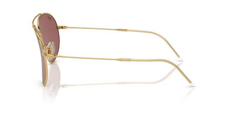 Ray-ban Aviator Reverse R0101s Unisex Brown Pilot Sunglasses