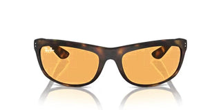Ray-ban Balorama Rb 4089 Men Havana Sports Sunglasses