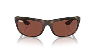Ray-Ban BALORAMA RB 4089 men Havana Sports Sunglasses