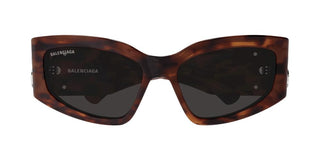 Balenciaga BB0321S women Havana Cat Eye Sunglasses