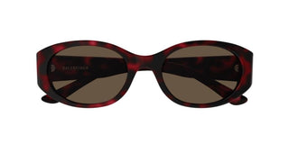 Balenciaga Bb0369s Women Havana Oval Sunglasses