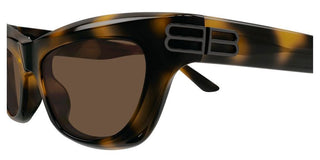 Balenciaga BB0430S women Havana Cat Eye Sunglasses