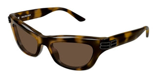 Balenciaga BB0430S women Havana Cat Eye Sunglasses