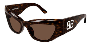 Balenciaga BB0444S women Havana Cat Eye Sunglasses